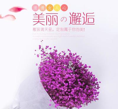 云南干花批發 散裝滿天星花束，產地直銷純自然風干永生花